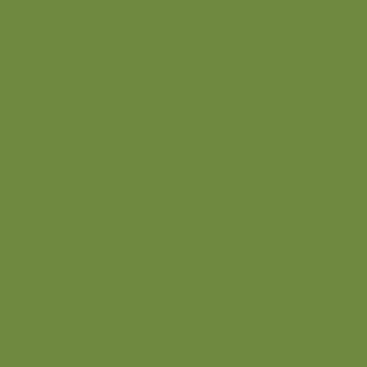 Zelltuchservietten 24 x 24 cm, 3-Lagig, 1/4-Falz - Leaf Green